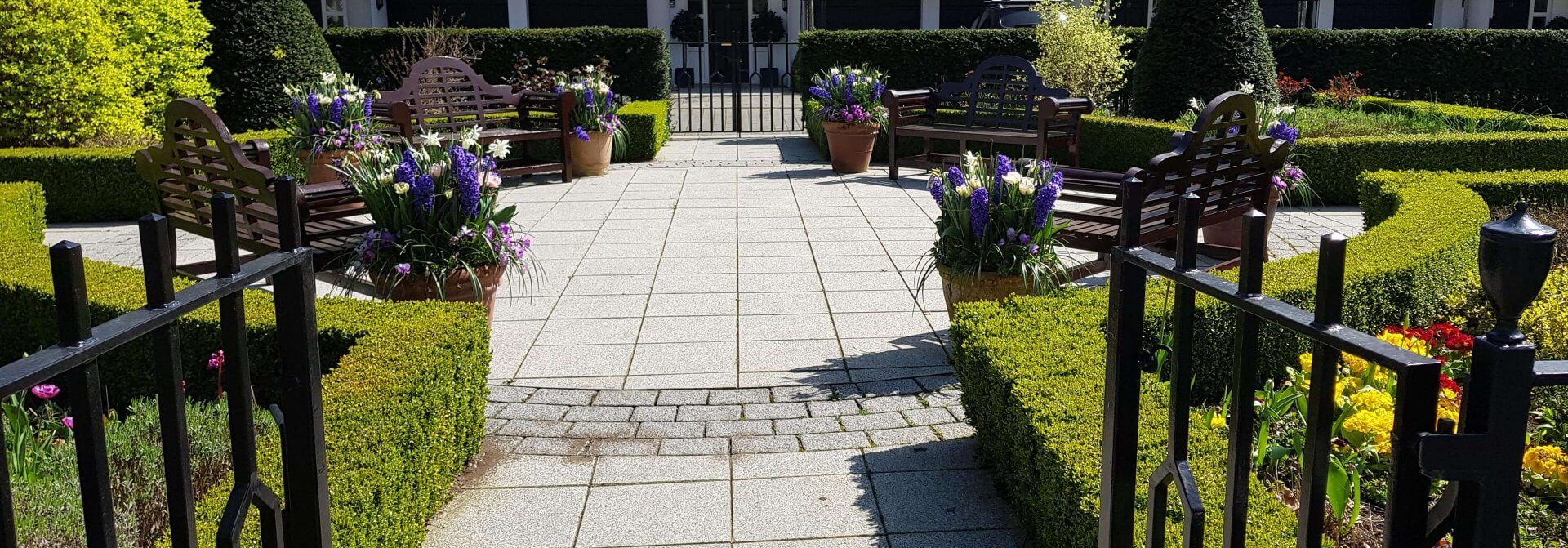 garden with paved path